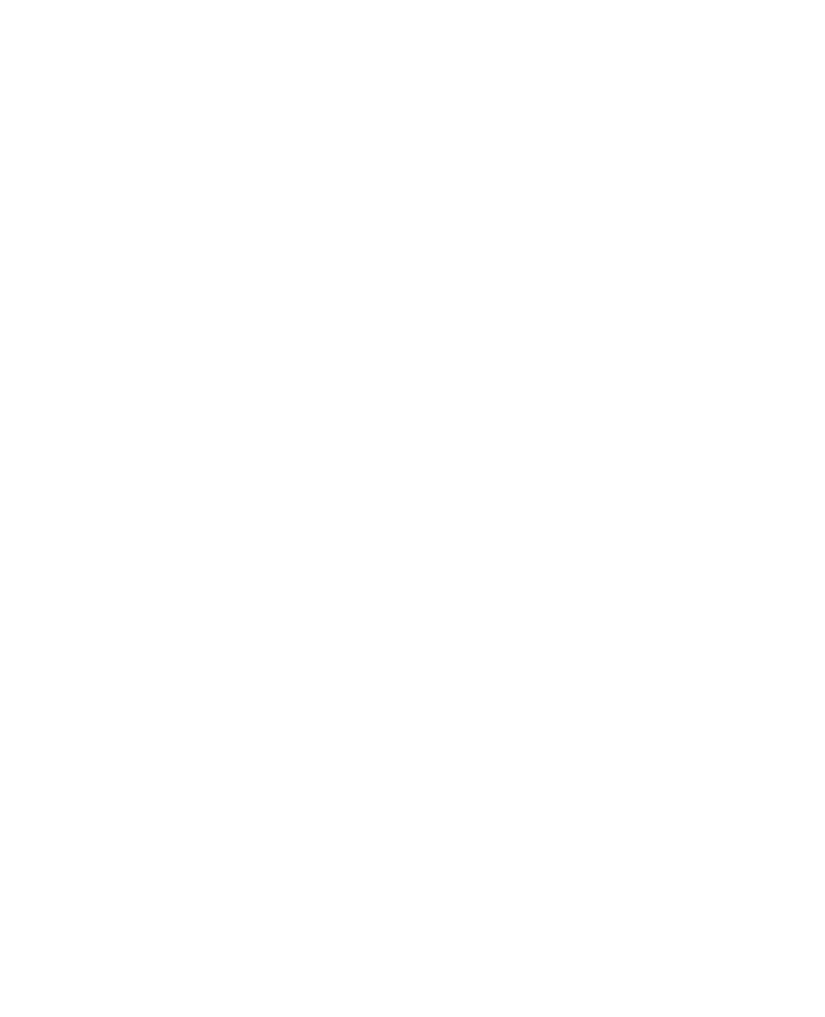 AeroGroup Inc.